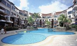 Nineteen Shelford Road (D11), Condominium #154564032